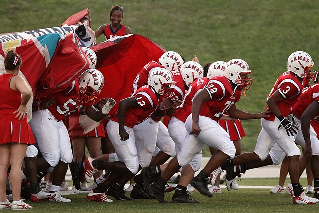 的高期待会 的高期待会