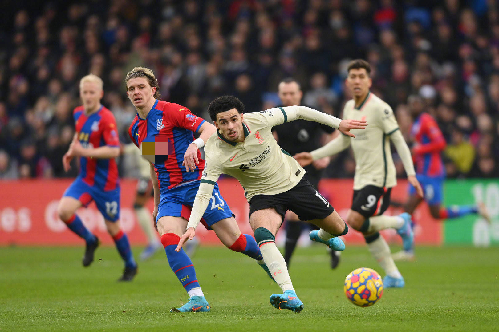 着他的职业 着他的职业